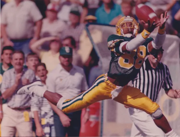 In Spite Of... The Odds